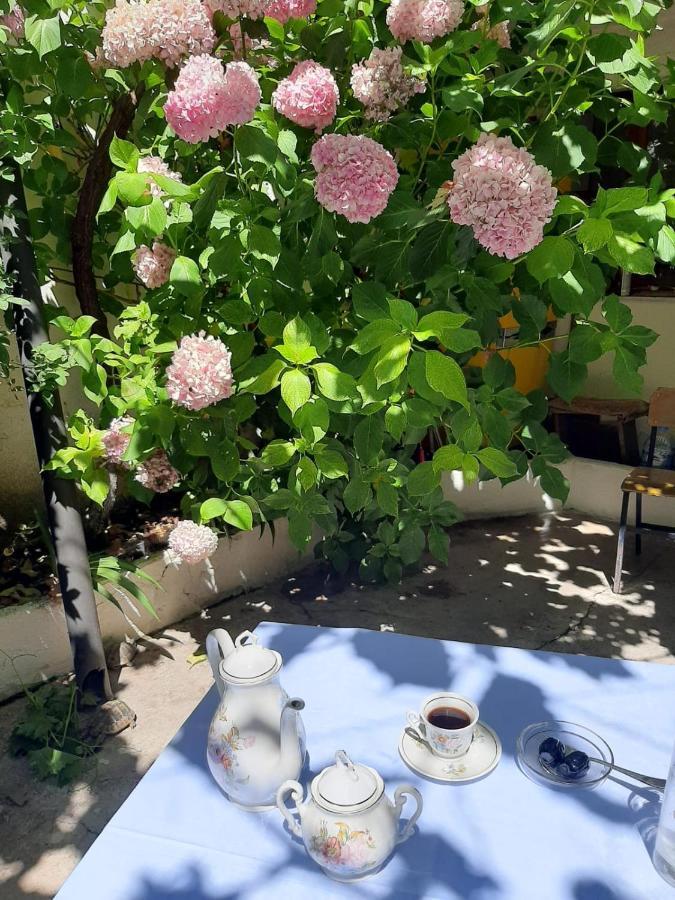 Vrenjo GuestHouse Gjirokastër Eksteriør billede